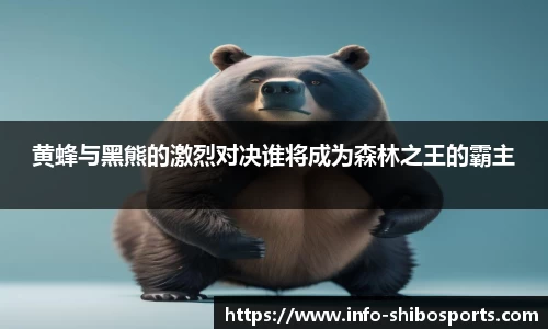 黄蜂与黑熊的激烈对决谁将成为森林之王的霸主